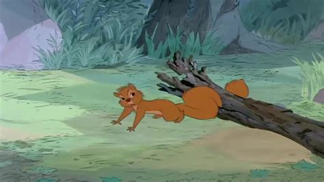 The Sword In The Stone Female Squirrel Saves Wart HD Cartoon For