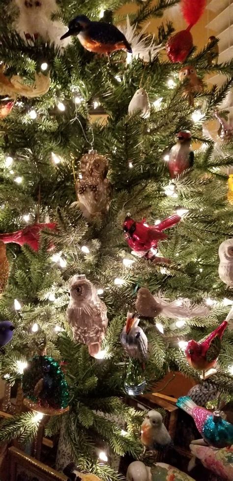 A Bird Tree One Of My Favs To Do At Christmas Christmas Bird Tree