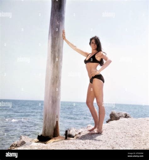 Caroline Munro Bikini Pin Up Portrait Vor Ort W Hrend Der Dreharbeiten