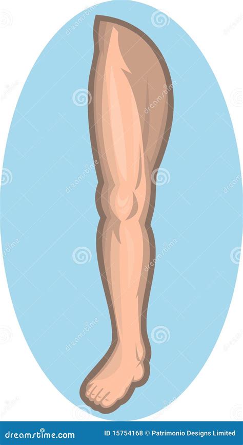 Human Leg Facing Front Royalty Free Stock Photos Image 15754168
