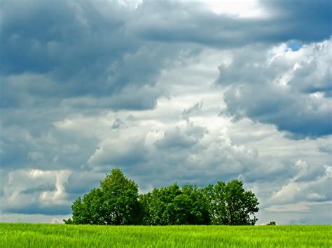Cloudy Sky Over Green Field Wallpaper And Background Image 1600x1200