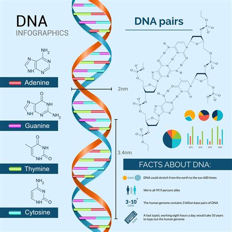 A Guide To Dna Tests