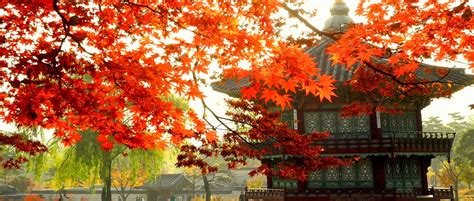 Korean Autumn Wallpapers Top Free Korean Autumn Backgrounds
