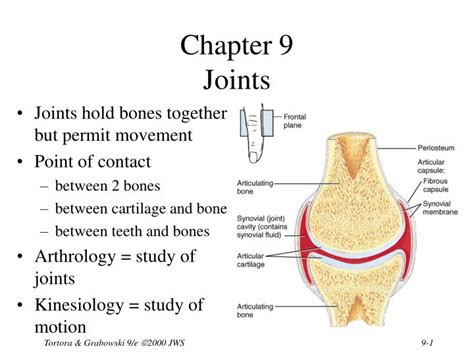 Ppt Chapter 9 Joints Powerpoint Presentation Free Download Id1703136
