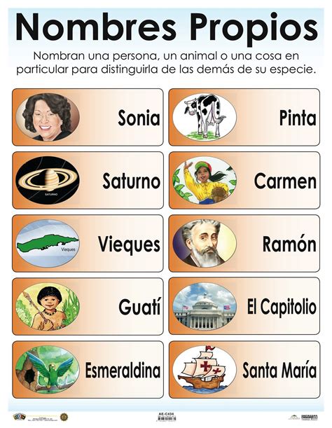 Afiches De Español Tamaño 17 X 22 Estándar Normativa Del
