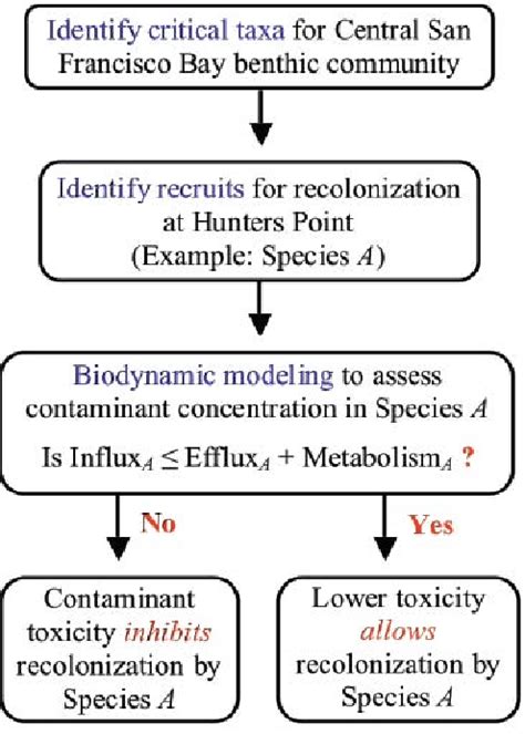 Flow Chart Representation Of Ecological Recovery Modeling To Determine