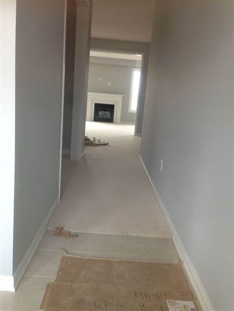 Have a lot of trim and interior door painting to do? Final selection of standard paint colour throughout the ...