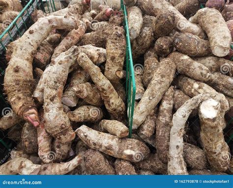 Pile Or Mound Of Brown Malanga Root Vegetables In Market Stock Photo