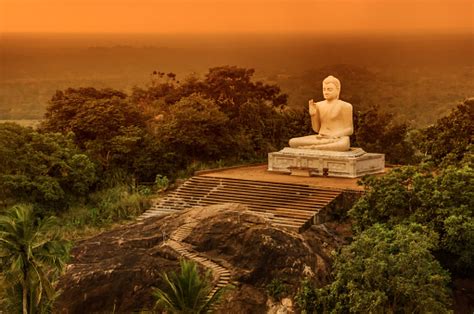 Buddha Statue In Sri Lanka Stock Photo Download Image Now Istock