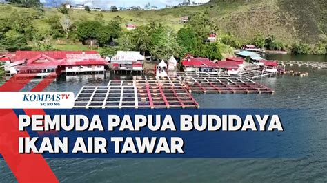 Melihat Potensi Ikan Air Tawar Di Sentani Jayapura YouTube