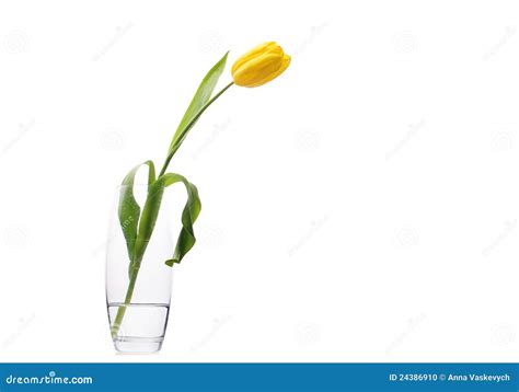 Tulip Glass Armudu With Turkish Tea Blurred Background Royalty Free