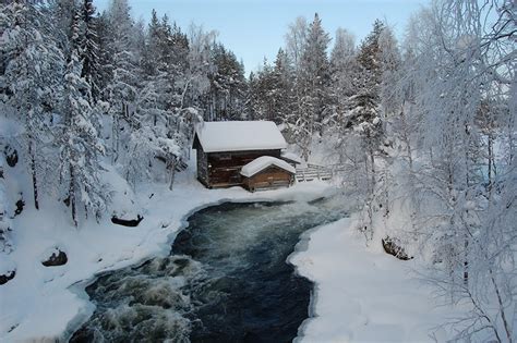 Картинка Парк Оуланка Финляндия Зима Природа снегу сезон года