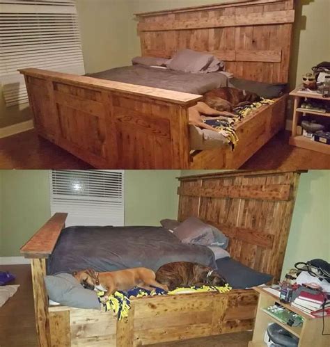 Dog Bed Next To The Humans Found Floating Around Fb Dog Bed Home