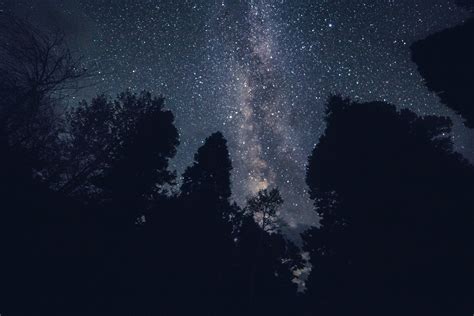Wallpaper Trees Night Starry Sky Stars Hd Widescreen