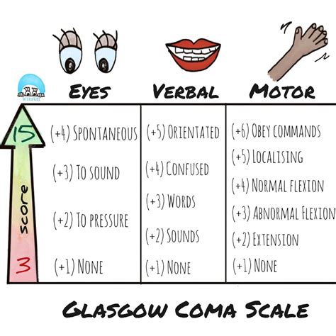 What Is The Glasgow Coma Scale The Scrub Nurse