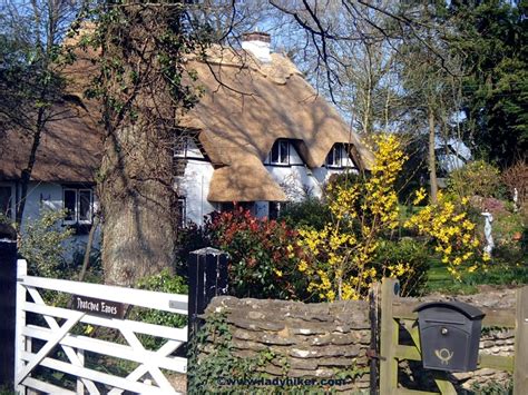New Forest Cottage I Already Live In A Forestim Luckybut The New