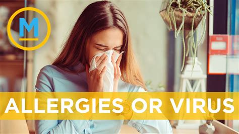 Heres How You Can Be Sure That You Just Have Allergies Your Morning