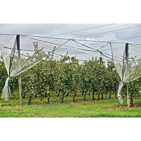 Filet anti grêle agricole pour arbres fruitiers et cultures