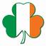Irish Flag Shamrock Magnet  America