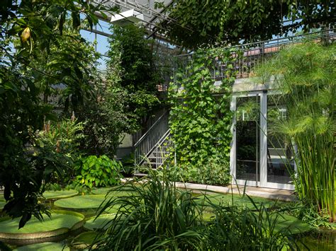 Der garten hat drei eingänge: Botanischer Garten, St.Gallen - Abgesagt