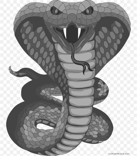 Snakes Tattoo King Cobra Clip Art Png 746x932px Snakes Black And
