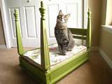 Images of Cat Beds Make Your Own