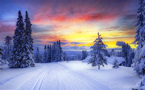 Free Download Winter Trees Snowy Road Sunset Wallpapers Winter Trees