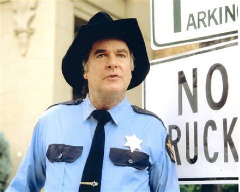 You Probably Know James Best As The Man Who Played Sheriff Rosco P