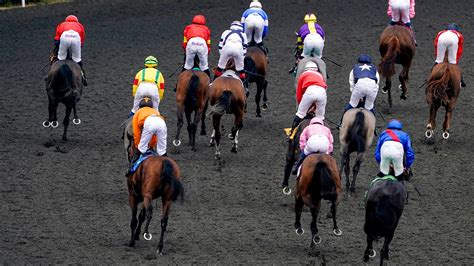 Kempton Races Betting Tips Racecards Odds And Preview For The Live