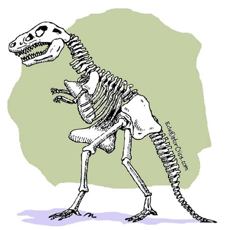 Check spelling or type a new query. Dinosaur Skeleton Clip Art at www.educatorClips.com ...