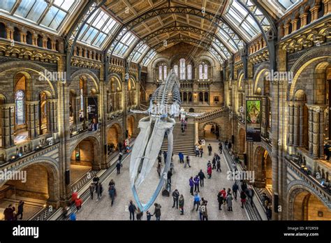 Natural History Museum In Kensington London Stock Photo Alamy