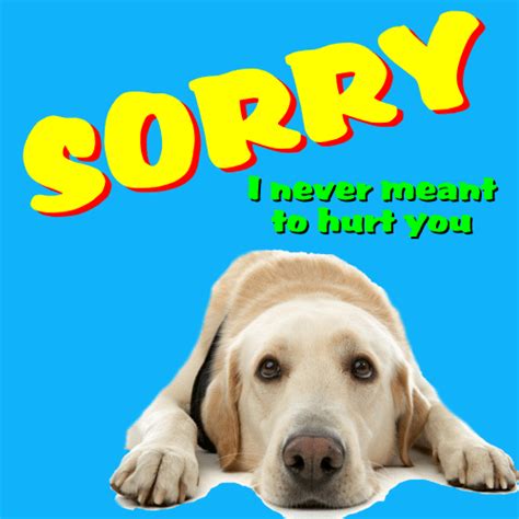A Real Sorry Card For You Free Sorry Ecards Greeting Cards 123