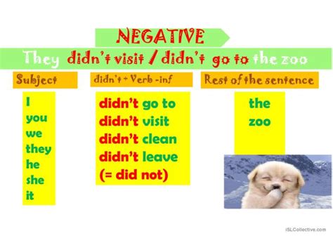 Past Simple Negative And Questions English Esl Powerpoints