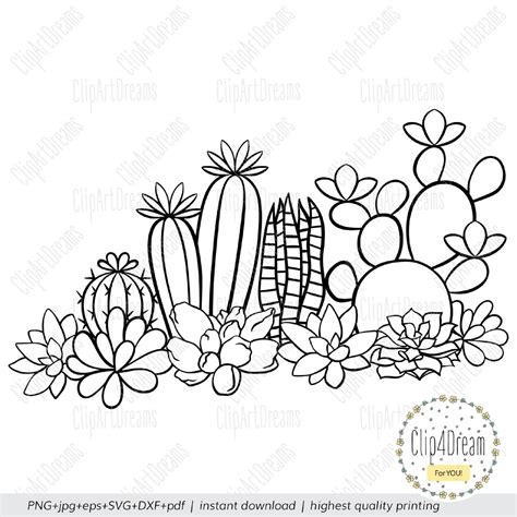 Cactus And Succulents Svg Border Summer Boho Clipart Cut Etsy