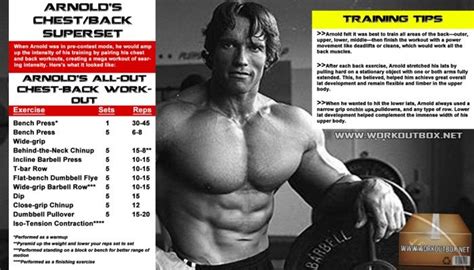 Arnold Chest And Back Workout Routine Schwarzenegger Training Fitness Hashtag Back Workout