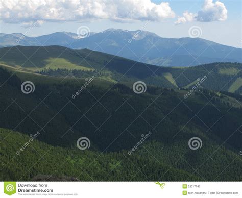 Mountains Covered By Forest Stock Image Image Of Spruce Romanian