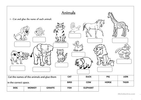 Cognitive development in preschool children. Preschool Wild Animals Worksheets For Kindergarten ...