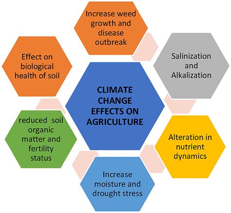 Frontiers Climate Change And Salinity Effects On Crops And Chemical