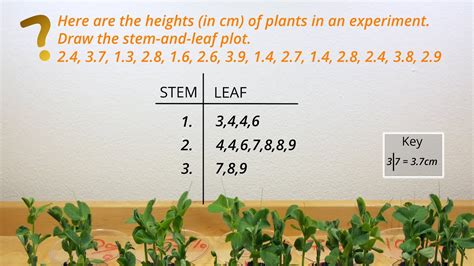 How To Graph A Stem And Leaf Plot Youtube