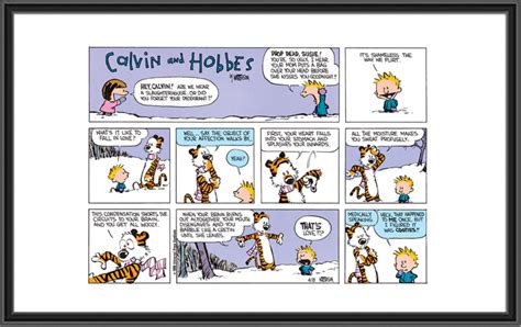 Calvin And Hobbes Cooties Vs Love Feb 16th 1986 Comic Art Print