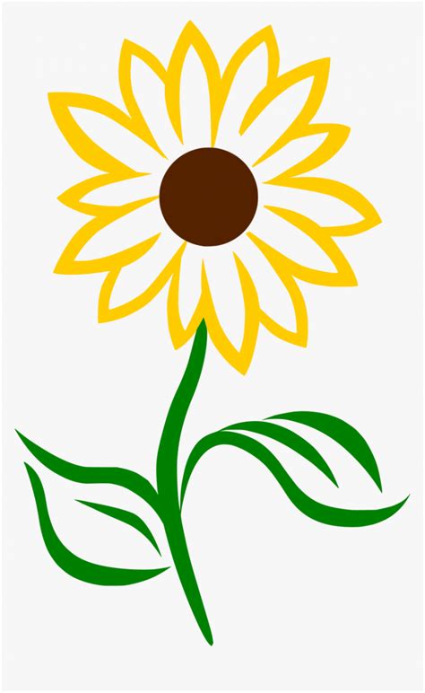 The Real Reason Behind Simple Sunflower Simple Sunflower Sunflower