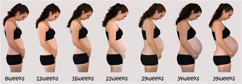 My Pregnancy Progression Maternity Progression Pictures Pregnancy