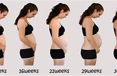 pregnancy month bump months progression through baby stages progress boy