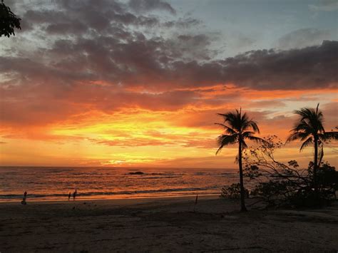 Top 5 Sunsets At Mansita Costa Rica Vacations With Pura Vida House