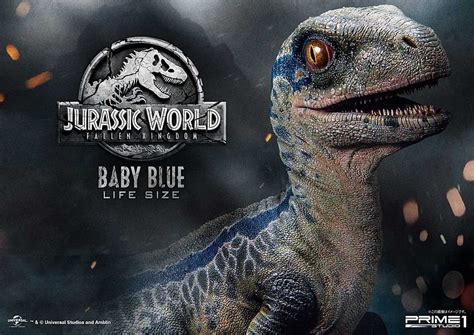 Velociraptor Blue Jurassic World Hd Hintergrundbild Pxfuel