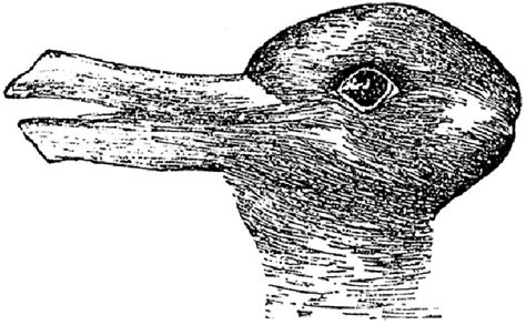 Jastrow 1899 Duck Rabbit Illusion To Visualize The Interplay Of Law