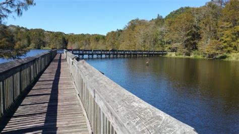 The activities that the park had for this week were super. Chicot State Park Has One Of The Most Stunning Boardwalk ...