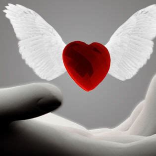 On the wings of love vol 5 filipino dvd. Love Heart Wings Angel Facebook Cover - Love