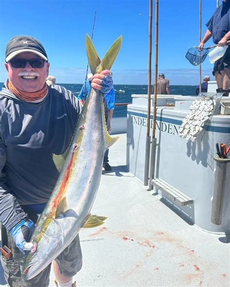 Independence Fish Report Yellowtail September 18 2023