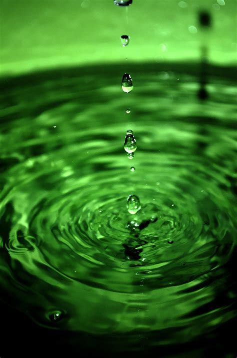 Free Images Water Drop Dew Leaf Flower Green Reflection Circle